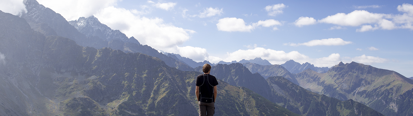 wp-plugin-development